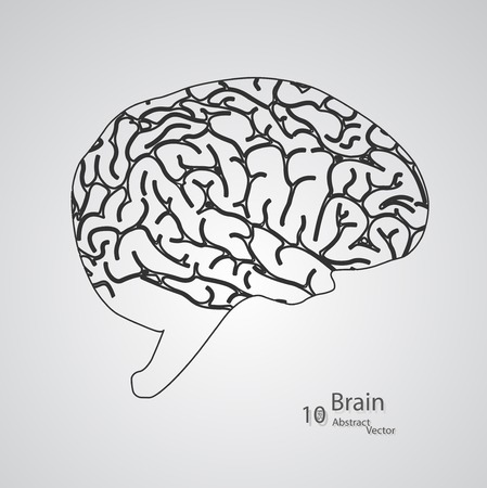 Creative concept of the human brainのイラスト素材