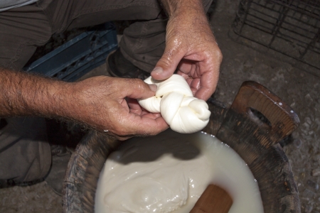 farmer gets the cheeseの写真素材