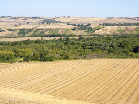 Landscape of the hills of Apulia Italyの写真素材