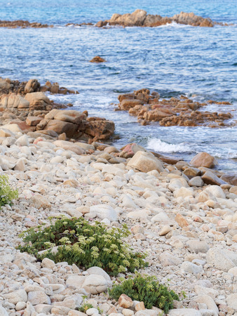 Landscape of Cala Ginepro beach in the gulf of Orosei Sardinia Italyの写真素材