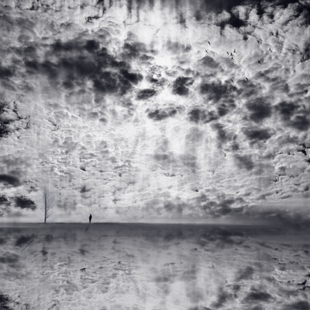 minimal winter landscape. human footsteps on the snow on a cloudy dayの写真素材