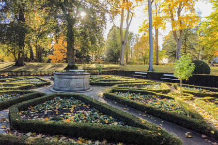 Autumn leaves and trees in the parkの写真素材