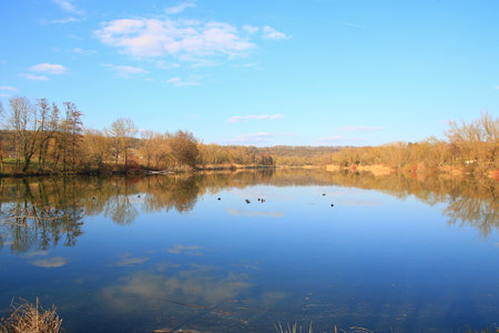 Regensburg, Germany: Tuffed ducks floating on a lake near Danube riverの写真素材