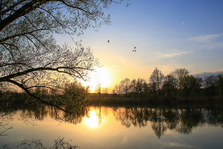 Regensburg, Germany: flying ducks against an evening landscapeの写真素材