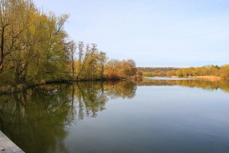 A serene scene featuring a calm lake with trees and a clear sky beautifully mirrored in the water.