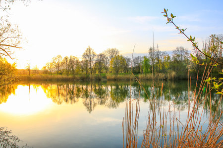 A serene spring scene featuring a calm lake with bare trees and a clear sky beautifully mirrored in the water.の写真素材