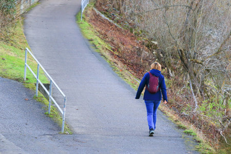 Several people stroll along the park pathway surrounded by colorful autumn trees on chilly day.