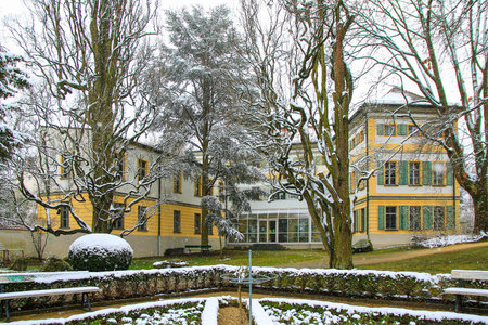 Park trees sprinkled with fresh snow in Regensburg capture peaceful winter atmosphere outdoors