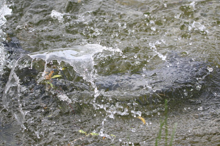 Big fish floats underwater in mating season on calm lakeの写真素材