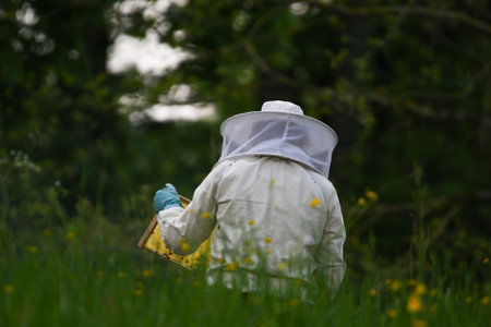 Beekeeper wearing full protective gear uses smoker while inspecting hive near vehicle spring meadowの写真素材