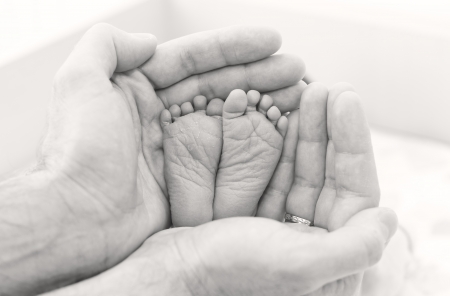 feet newborn baby in father's hands ( black and white )の写真素材