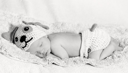 cute newborn baby sleeps in a knitted hat dogs ( black and white )の写真素材