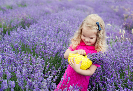 happy little girl is in a lavender field holds a basket of flowersの写真素材
