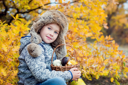 Autumn Portrait Toddler boy in leaves of oakの写真素材