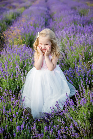 Smiling toddler girl in lavender fieldの写真素材