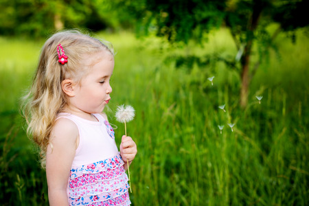 Adorable little girl blowing off dandelion on a summer dayの写真素材