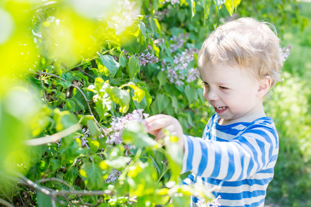 Happy Toddler boy plucks flowers in the spring timeの写真素材