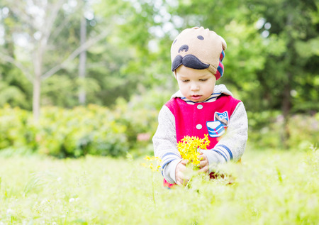 Cute toddler boy plucks flowers in the spring timeの写真素材