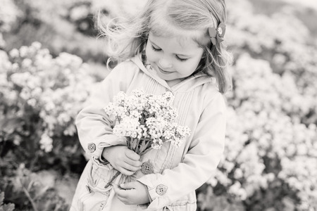 charming little girl smelling a bouquet of wildflowers (black and white)の写真素材