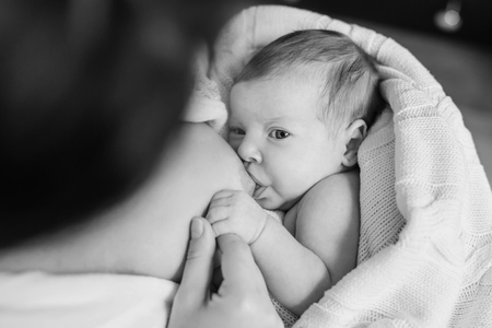 Close-up portrait of sweet newborn baby breastfeeding. Adorable new born caucaian kid holding moms finger with his cute little palm while breast feeding. Focus on hands. Young mother nursing baby (black and white)の写真素材