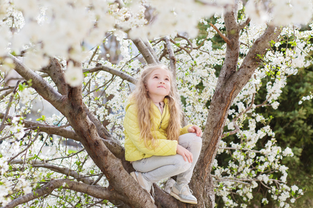 Adorable little girl in blooming cherry tree garden on beautiful spring day. Cute child picking fresh cherry tree flowers at spring.の写真素材
