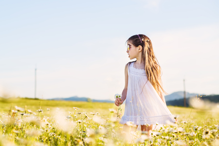 Cute preschooler girl looks to the side walking in the field with daisiesの写真素材