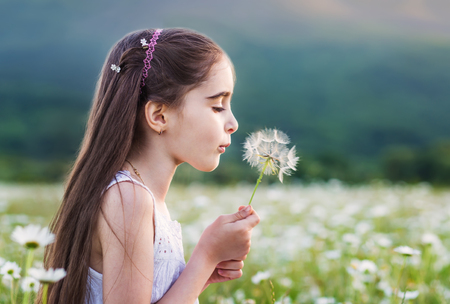 Cute brunette little girl blowing a dandelion in the field of daisiesの写真素材