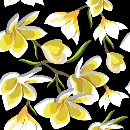 Floral seamless pattern with frangipani, hand-drawing.illustration.のイラスト素材