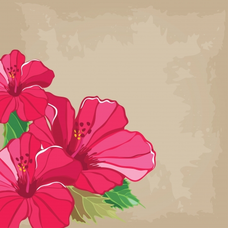 Floral pattern with hibiscus, hand-drawing. のイラスト素材