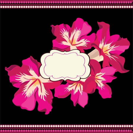 Beautiful floral pattern.Spring backgroundのイラスト素材