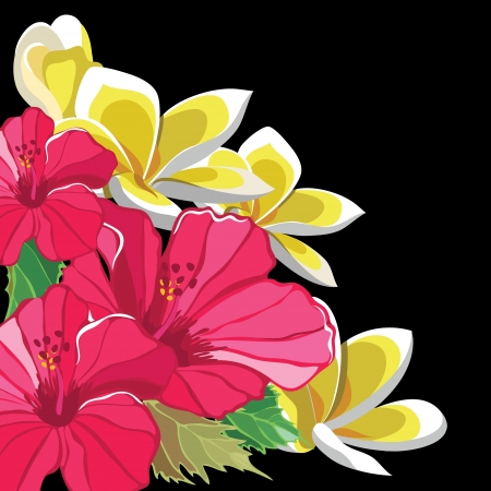 Beautiful floral pattern with hibiscus and frangipani のイラスト素材