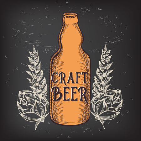 Beer restaurant brochure vector, alcohol menu design. Vector bar template with hand-drawn graphic. Beer flyer.のイラスト素材