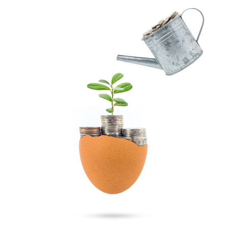 Plant growing on coins in egg broken concept for investment, retirement on white background.の写真素材