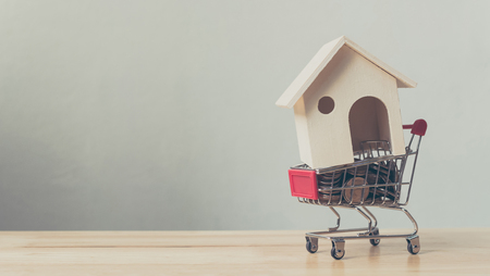 Property investment and house mortgage financial concept, House and money coin in shopping cartの写真素材