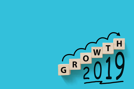 Wooded cube block on white background with word GROWTH 2019 and copy space for your text. Business success growth increase up conceptの写真素材