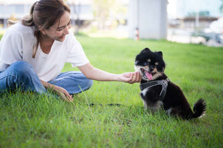 Happy young asian woman playing and sitting on grass in the park with her dog. Pet lover conceptの写真素材