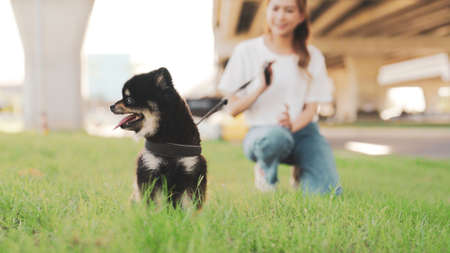 Happy young asian woman playing and sitting on grass in the park with her dog. Pet lover conceptの写真素材