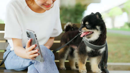 Happy young asian woman sitting on a bench and photo selfie in the park with her dog. Pet lover conceptの写真素材