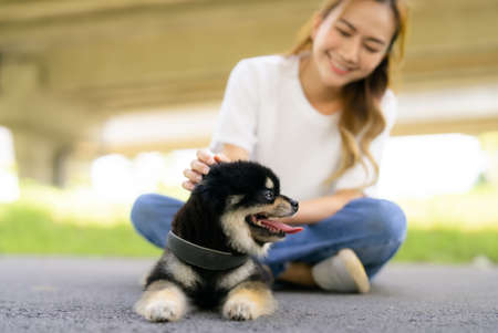 Happy young asian woman playing and sitting on road in the park with her dog. Pet lover conceptの写真素材