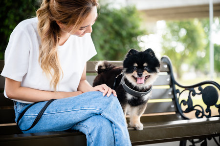 Happy young asian woman playing and sitting on a bench in the park with her dog. Pet lover conceptの写真素材