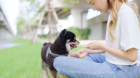 Happy young asian woman playing and sitting on grass in the park with her dog. Pet lover conceptの写真素材