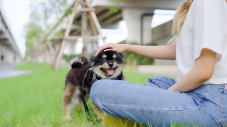 Happy young asian woman playing and sitting on grass in the park with her dog. Pet lover conceptの写真素材