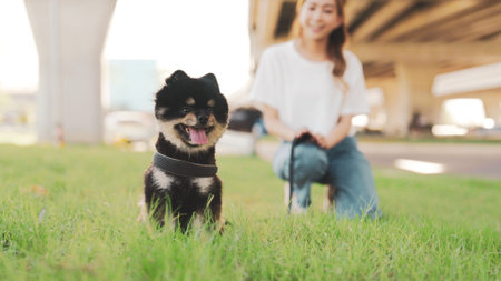 Happy young asian woman playing and sitting on grass in the park with her dog. Pet lover conceptの写真素材