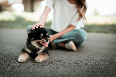 Happy young asian woman playing and sitting on road in the park with her dog. Pet lover conceptの写真素材