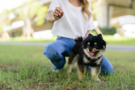 Happy young asian woman playing and sitting on grass in the park with her dog. Pet lover conceptの写真素材