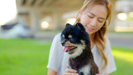 Happy young asian woman playing and sitting on grass in the park with her dog. Pet lover conceptの写真素材