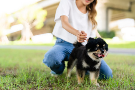 Happy young asian woman playing and sitting on grass in the park with her dog. Pet lover conceptの写真素材