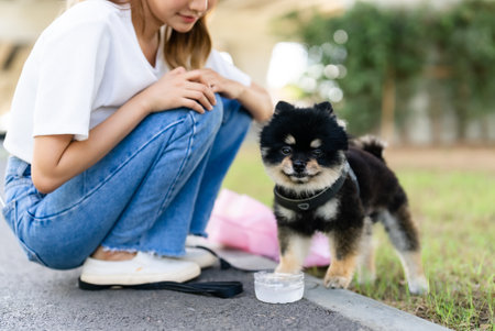 Happy young asian woman playing and sitting on road in the park with her dog. Pet lover conceptの写真素材
