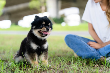 Happy young asian woman playing and sitting on grass in the park with her dog. Pet lover conceptの写真素材