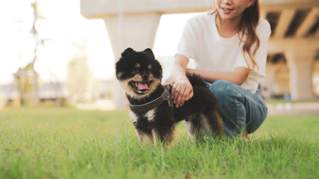 Happy young asian woman playing and sitting on grass in the park with her dog. Pet lover conceptの写真素材